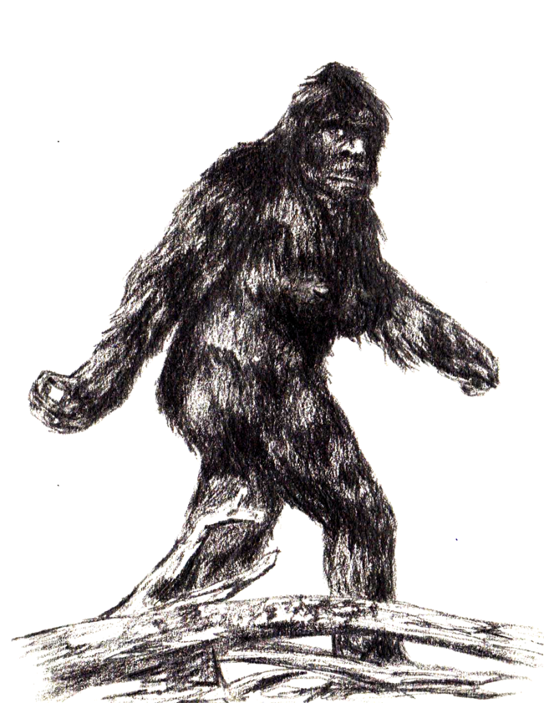Bigfoot Film Collective
