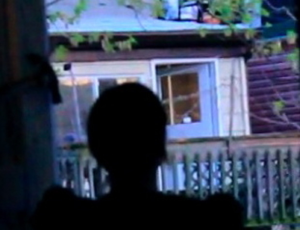 HAMMER-looking out door